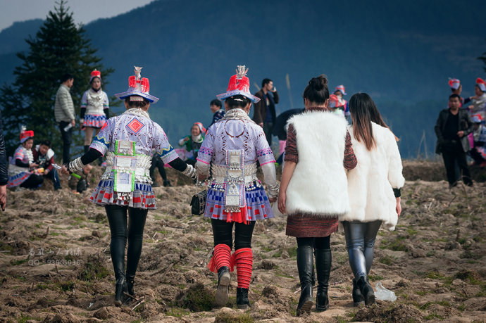 枫香革家踩亲节，一场革家人共舞的盛会 亻革家文化 第36张