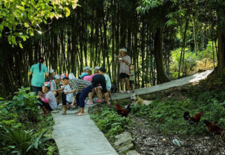 革家人——中国56个民族以外的人