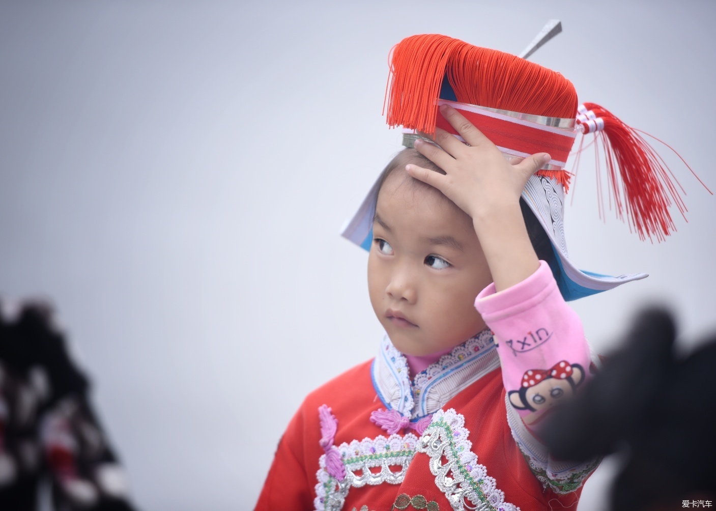 中国贵州的一个少数民族族群 亻革家图片 第11张