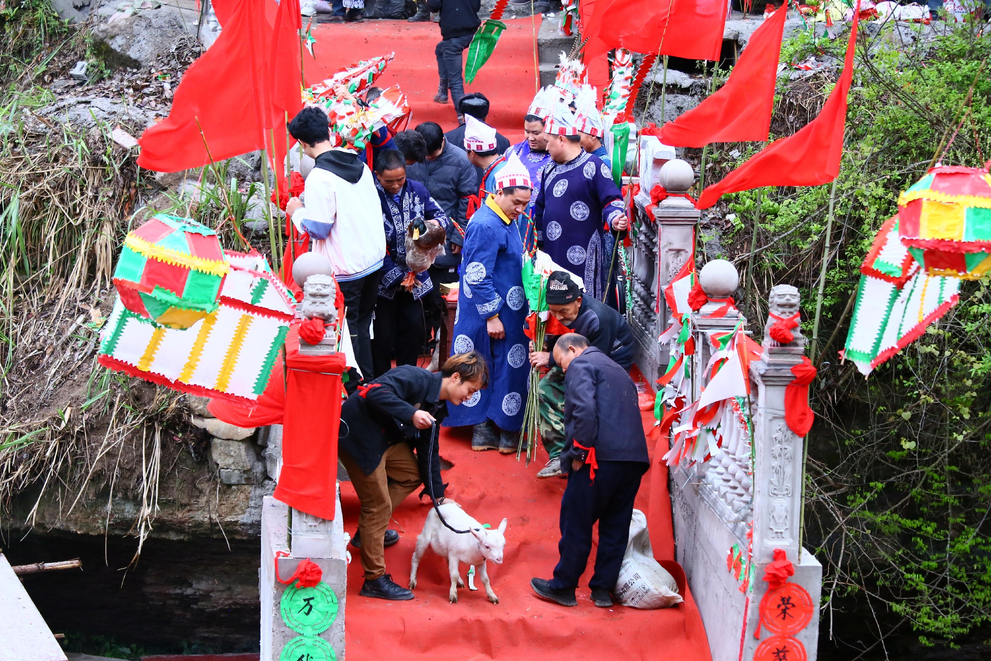 几百年都难见一次，贵州这个国家级传统村落举行牵牛拉马祭桥仪式 亻革家头条 第20张