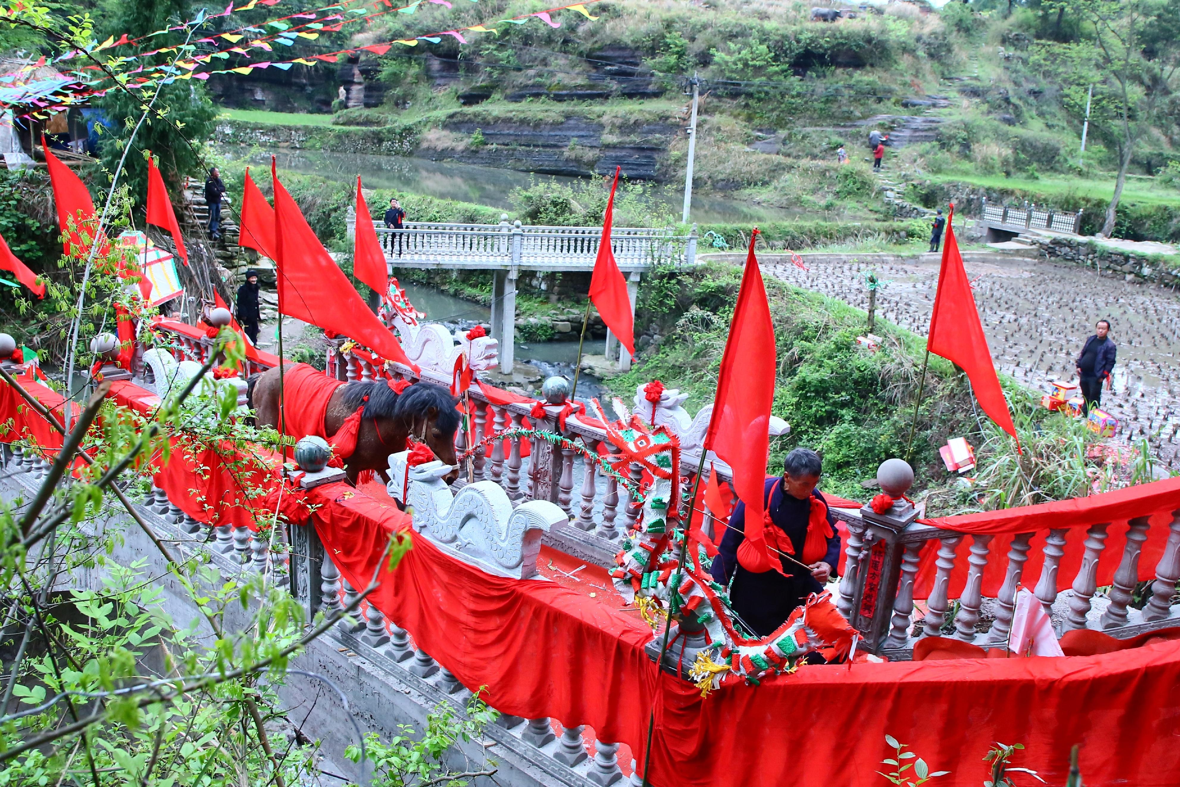 几百年都难见一次，贵州这个国家级传统村落举行牵牛拉马祭桥仪式 亻革家头条 第12张