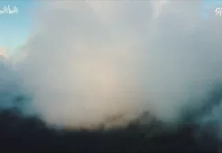 亻革家非遗传承