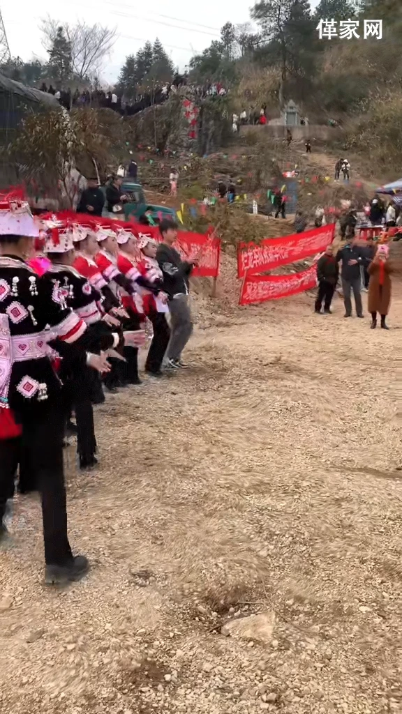 革家人 革家姑娘 踩亲舞贵州凯里黔东南