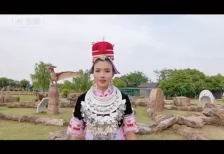 视频介绍：什么是亻革家人 #小酱丫